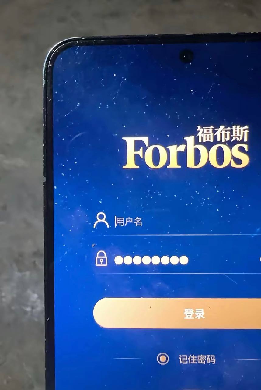游戏图鉴11